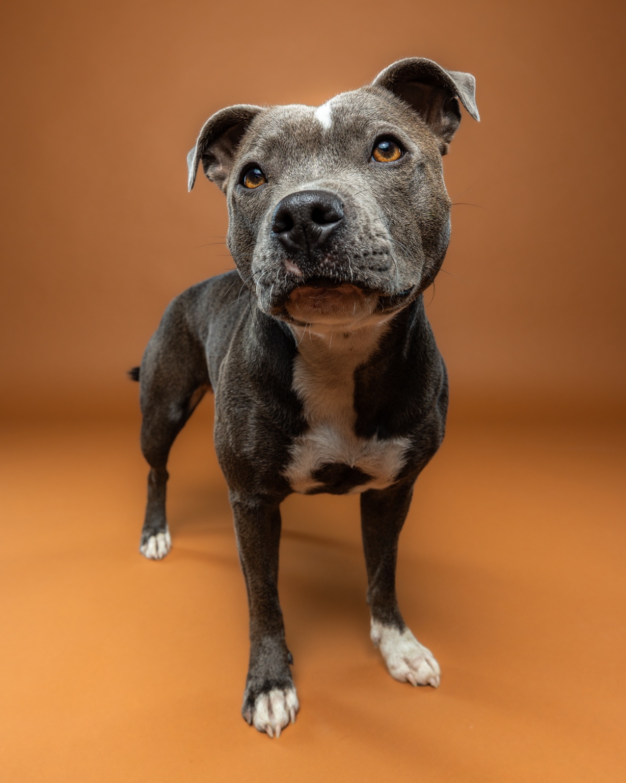 Elly against a warm brown studio backdrop