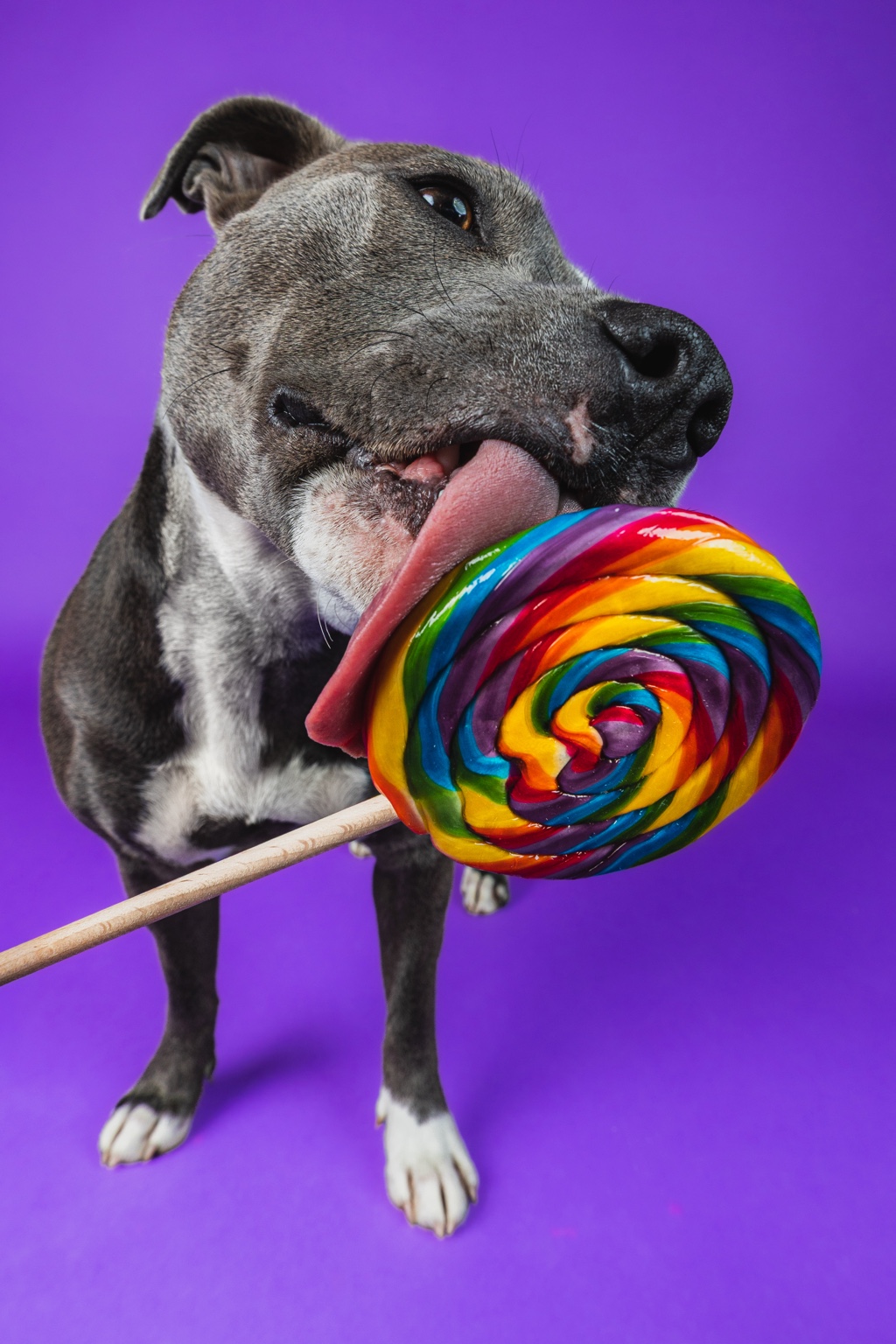 Elly with rainbow lollipop